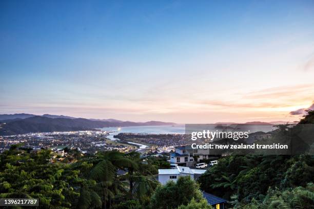 view of wellington harbour at blue hour with matiu somes island island in distance, wellington, nz - wellington harbour stock pictures, royalty-free photos & images