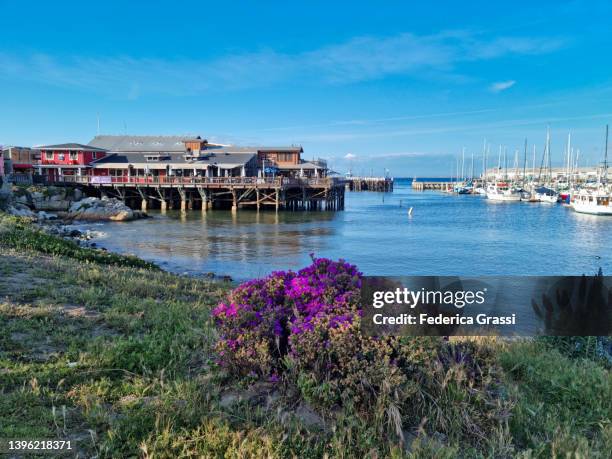 view of fisherman's wharf, monterey, california - カリフォルニア州 モントレー市 ストックフォトと画像