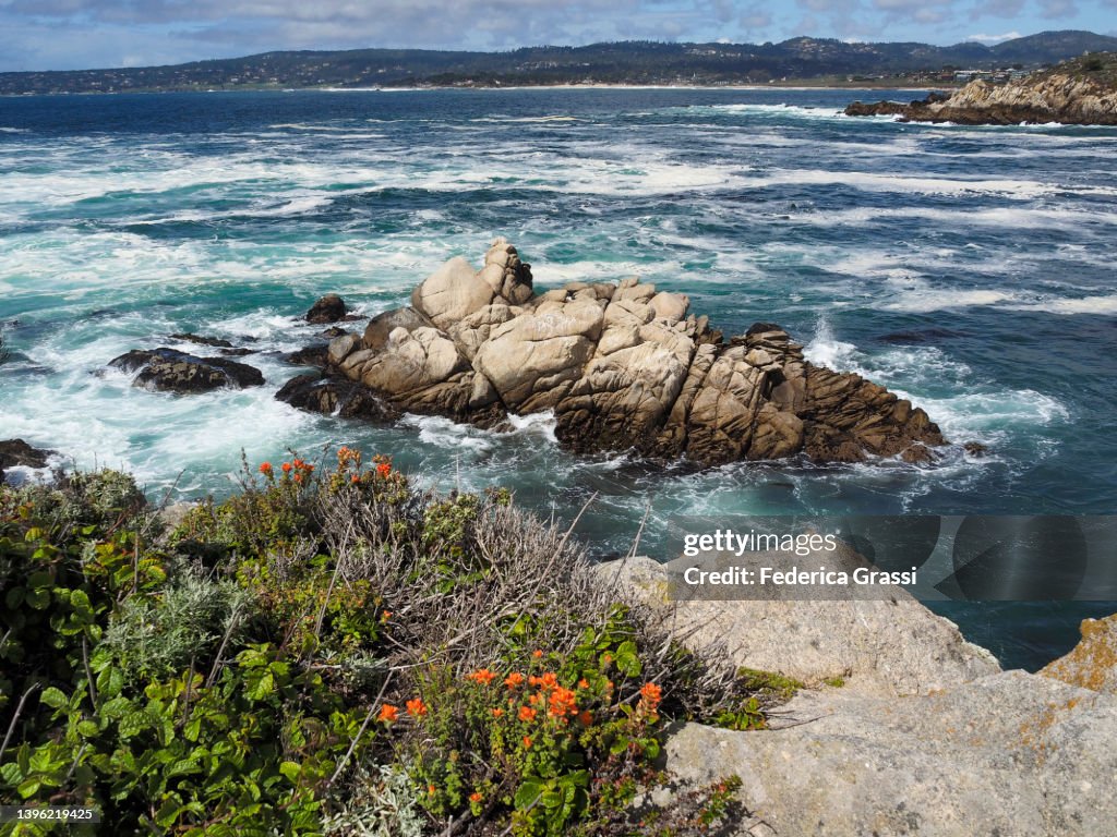 Whaler's Cove, Point Lobos State Nature Reserve, California