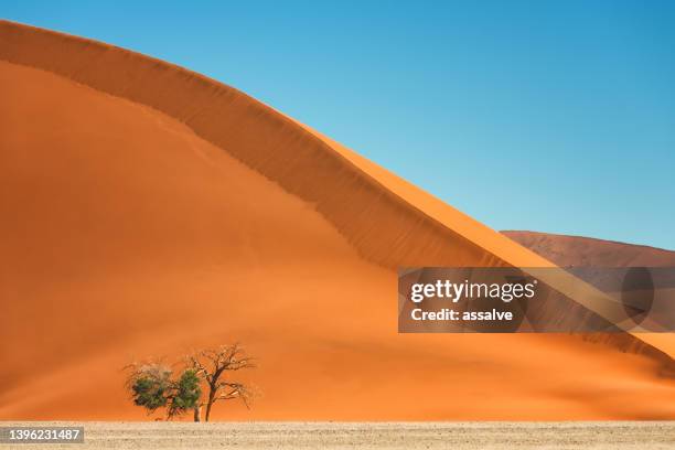 dune 45 in namibia - sossusvlei stock pictures, royalty-free photos & images