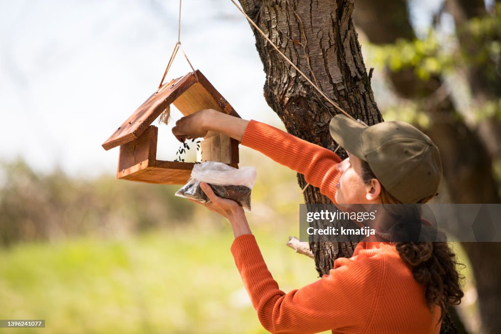 Mittlere erwachsene Frau, die Vogelsamen in den Vogelhäuschen steckt