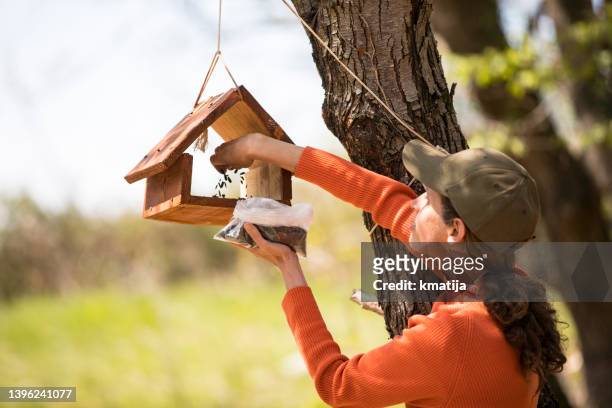 mid adult woman putting bird seeds in bird feeder - bird seed stockfoto's en -beelden