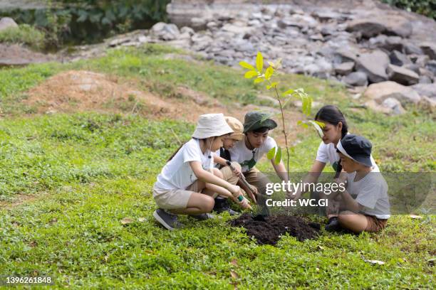 group volunteer planting a forest as save world concept - responsabilidade imagens e fotografias de stock