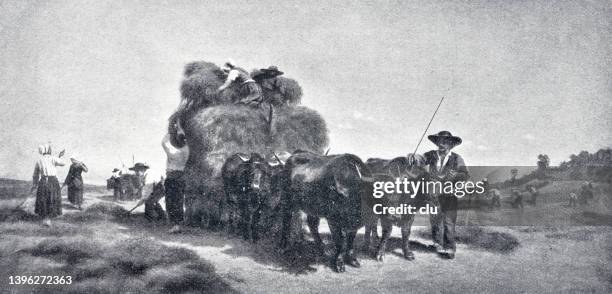 auvergne, or harvest - auvergne stock illustrations