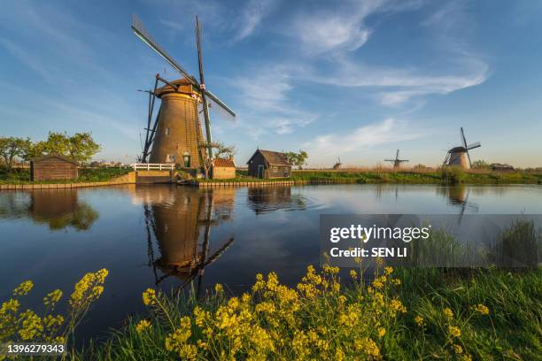 unesco werelderfgoed kinderdijk molens, ancient windmills at dusk in kinderdijk in netherlands - unesco werelderfgoed stock pictures, royalty-free photos & images