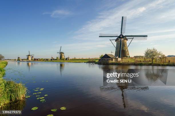 unesco werelderfgoed kinderdijk molens, ancient windmills at dusk in kinderdijk in netherlands - unesco werelderfgoed stock pictures, royalty-free photos & images