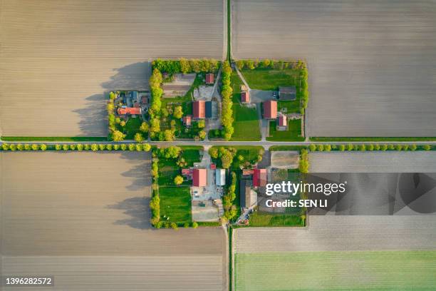 aerial view of the colorful tulip fields and farmhouses in noordoostpolder part of netherlands - netherlands aerial stock pictures, royalty-free photos & images