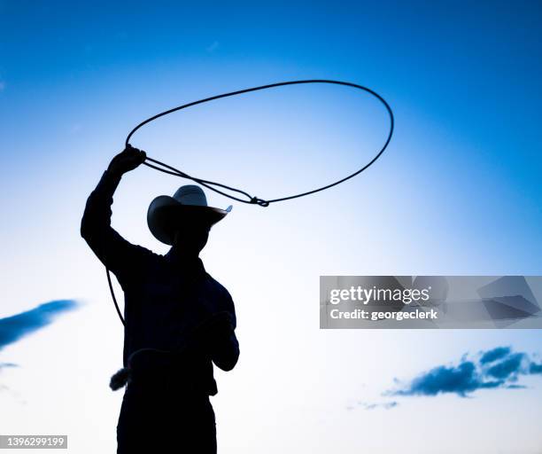 lasso silhouette - cow boy stock pictures, royalty-free photos & images