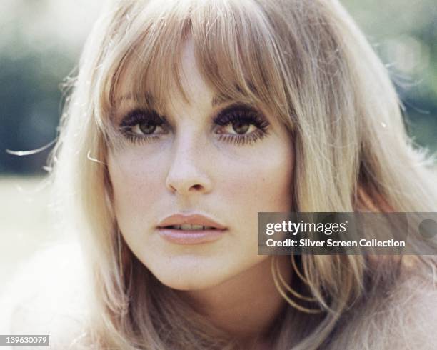 Headshot of Sharon Tate , US actress, circa 1965.