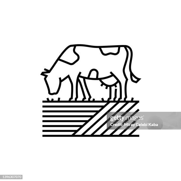 cattle farming line icon - cow farm stock illustrations