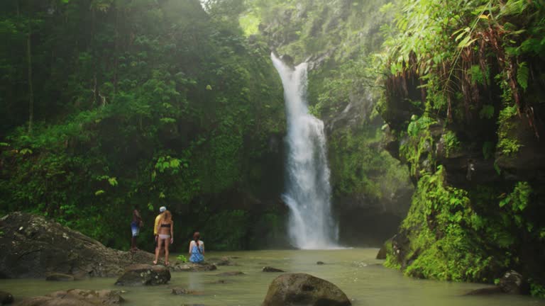 Wate Fall Video 51,263 Waterfall Rocks Stock Videos, Footage, & 4K Video Clips - Getty ...