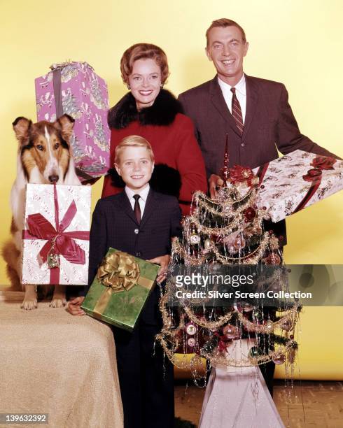 Lassie with Jon Provost, US child actor, June Lockhart, US actress, and Hugh Reilly , US actor, pose for a group studio portrait, holding giftwrapped...