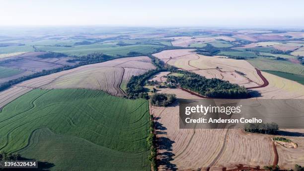 luftaufnahme des bauernhofes mit weizen- und maisplantage - monoculture stock-fotos und bilder