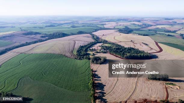 aerial view of farm with wheat and corn plantation - monoculture stock pictures, royalty-free photos & images