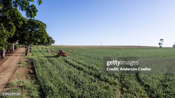 spraying corn plantation on farm - monoculture stock pictures, royalty-free photos & images