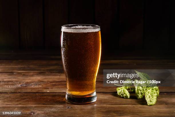 glass of light beer on a dark pub - lager stock pictures, royalty-free photos & images