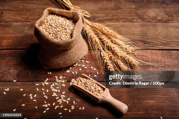 grains of wheat in bags and ears - harvest table stock-fotos und bilder