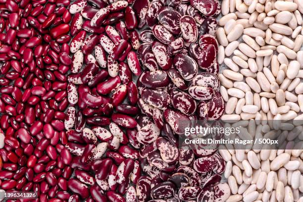 full frame shot of red kidney beans - red bean fotografías e imágenes de stock