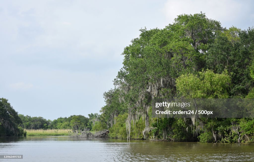 Barataria Preserve Landscape Located in Southern Louisiana