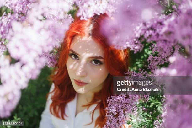 young woman with red long curly hair in white shirt sitting near blossoming purple lilac bush in spring park in sunny day. female romantic portrait. - purple lilac stock pictures, royalty-free photos & images