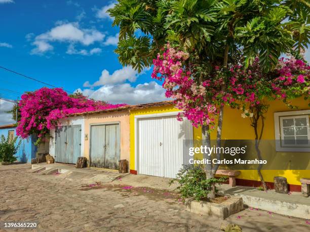 gates and flowers - chapada diamantina stock-fotos und bilder