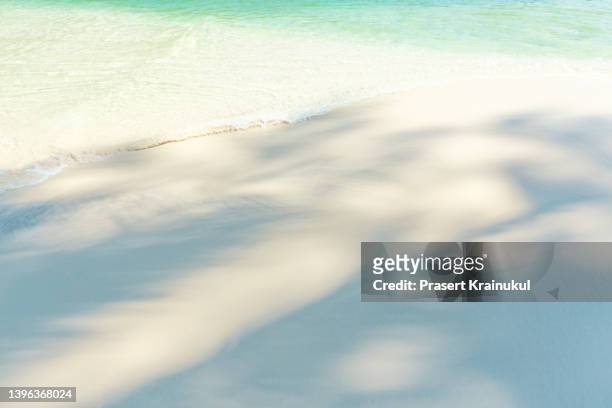 shadow of palm tree on beautiful beach at at koh kood island in high season. - white sand stock pictures, royalty-free photos & images