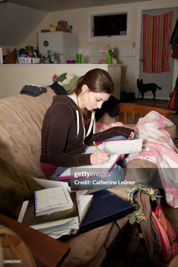Young Woman Doing Homework On The Couch High-Res Stock Photo - Getty Images
