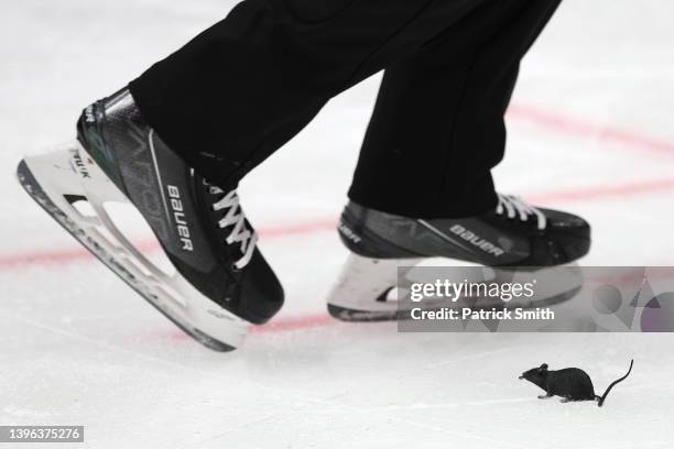 Toy rat is seen on the ice after the Florida Panthers defeated the Washington Capitals during overtime in Game Four of the First Round of the 2022...