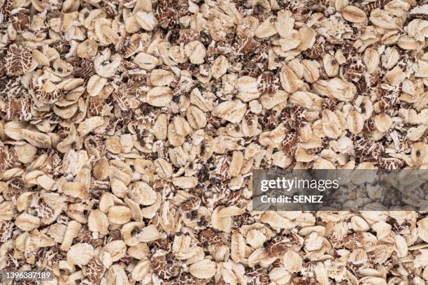 full frame shot of oat flakes - haferflocken stock-fotos und bilder