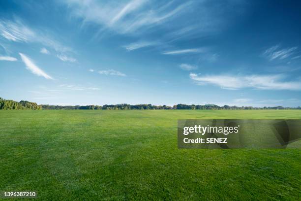 green grassland and blue sky - wide sky stock pictures, royalty-free photos & images