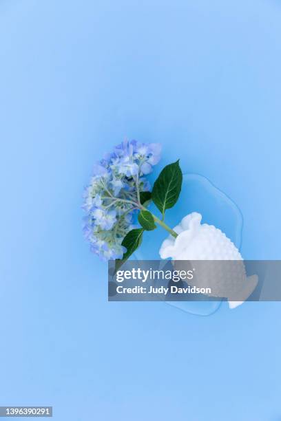 tipped over small broken antique white hobnail milk glass vase with a blue hydrangea cut flower - broken vase stock pictures, royalty-free photos & images