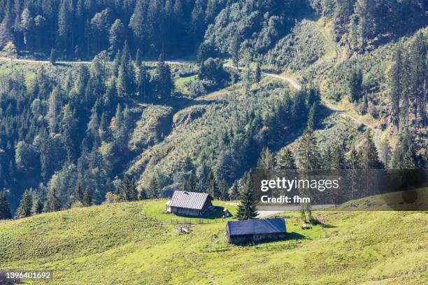 landscape at the berchtesgadener alps (bavaria, germany) - berchtesgaden alps stock pictures, royalty-free photos & images