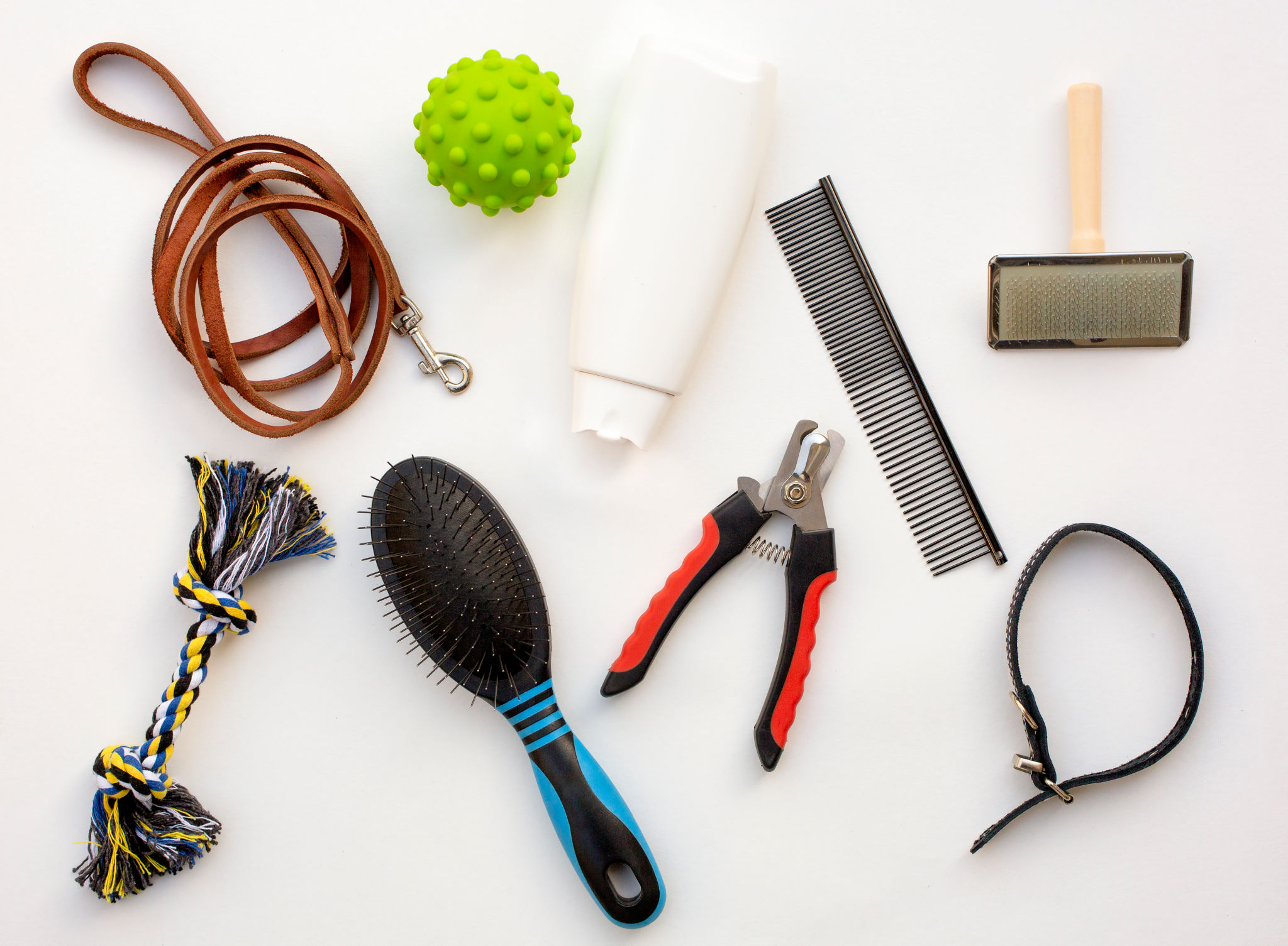 pet grooming supplies