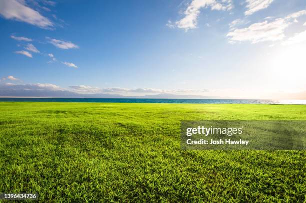 seaside lawn - horizon over land stockfoto's en -beelden