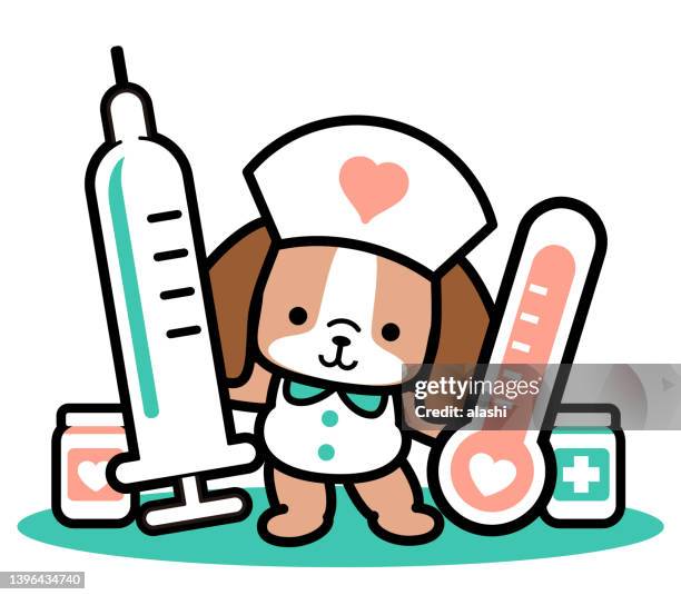 ilustrações, clipart, desenhos animados e ícones de uma enfermeira de cachorro bonita em pé com uma seringa, termômetro clínico e frascos de comprimidos - dog bone