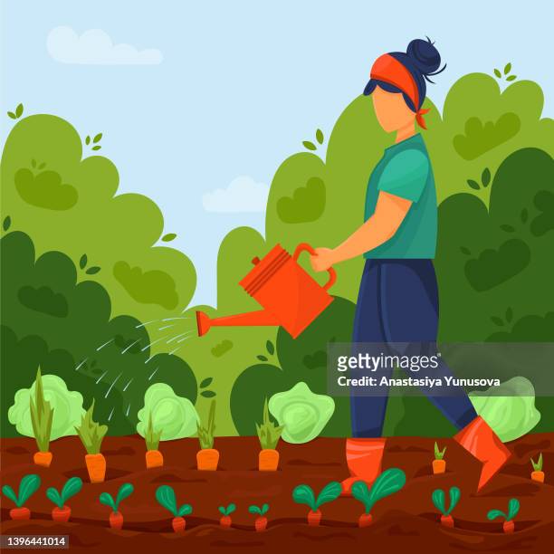 ilustrações de stock, clip art, desenhos animados e ícones de local organic products are grown. girl with watering pot waters vegetables in garden bed. agricultural worker grows crops. vector illustration in cartoony style - horta