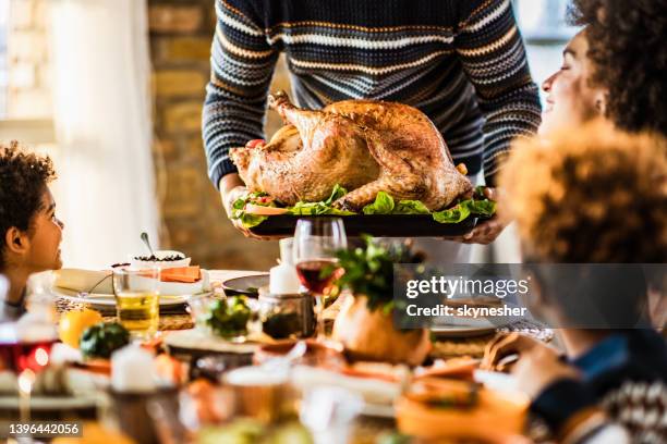 ¡es hora del pavo de acción de gracias todos ustedes! - día de acción de gracias fotografías e imágenes de stock