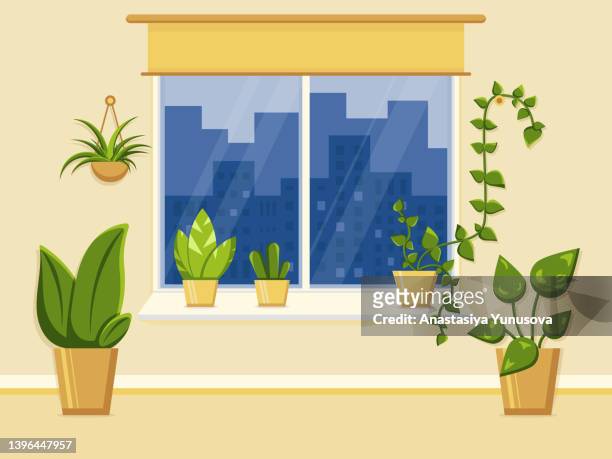 zimmerfenster mit verschiedenen zimmerpflanzen verziert. konzept der illustration der natürlichen ecke zu hause. flache vektorillustration. - fensterbank stock-grafiken, -clipart, -cartoons und -symbole