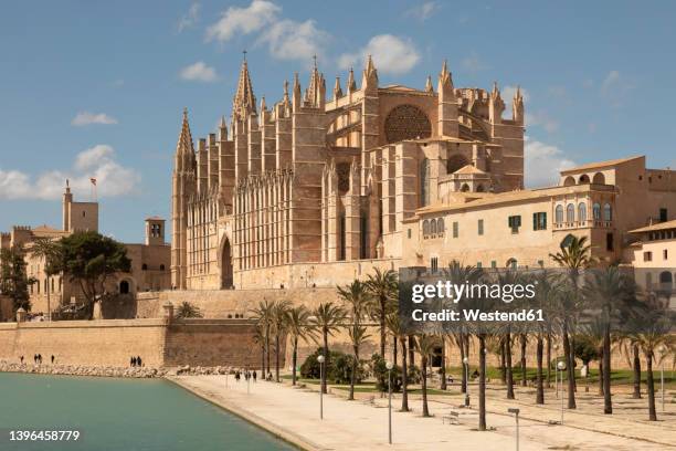 spain, balearic islands, palma, exterior of palma cathedral in summer - palma mallorca stock-fotos und bilder