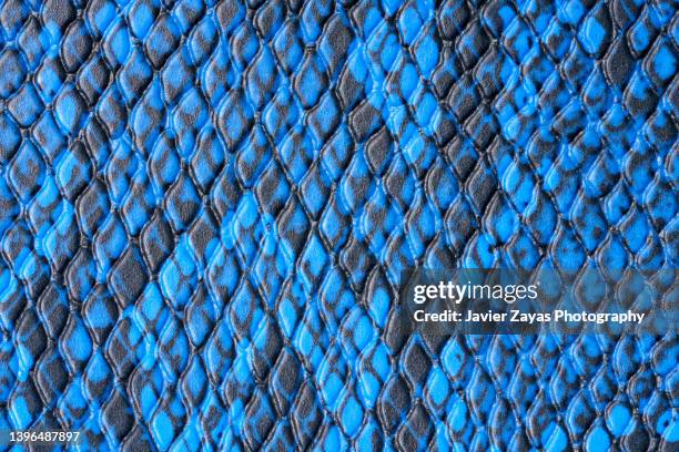 blue leather background texture high resolution - snake texture stock pictures, royalty-free photos & images