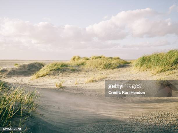 a daytime view of a beach and sand dunes - sand dune fotografías e imágenes de stock