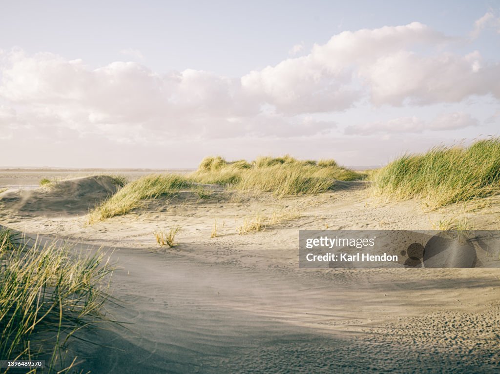 A daytime view of a beach and sand dunes