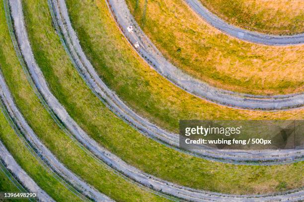 aerial view of agricultural field,milan,lombardia,italy - milan aerial stock pictures, royalty-free photos & images