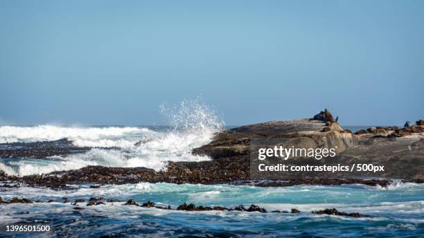 scenic view of sea against clear sky,cidade do cabo,south africa - cidade do cabo stock-fotos und bilder