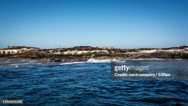 scenic view of sea against clear blue sky,cidade do cabo,south africa - cidade do cabo stock pictures, royalty-free photos & images