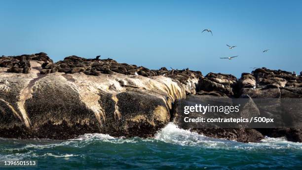 scenic view of sea against clear sky,cidade do cabo,south africa - cidade do cabo stock-fotos und bilder