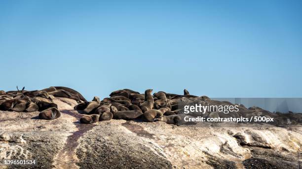 low angle view of rocks against clear blue sky,cidade do cabo,south africa - cidade do cabo stock-fotos und bilder