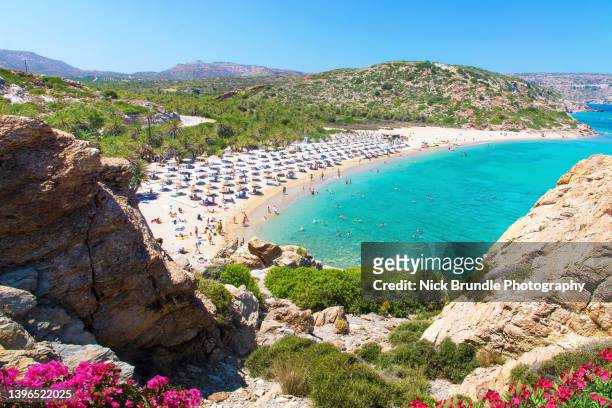 vai beach, crete, greece. - kreta stockfoto's en -beelden