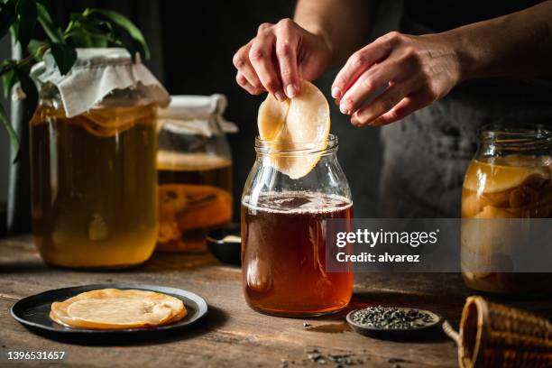 close-up of woman making kombucha at home - kombu stock pictures, royalty-free photos & images