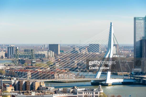 aerial view of the rotterdam skyline - rotterdam skyline stock pictures, royalty-free photos & images